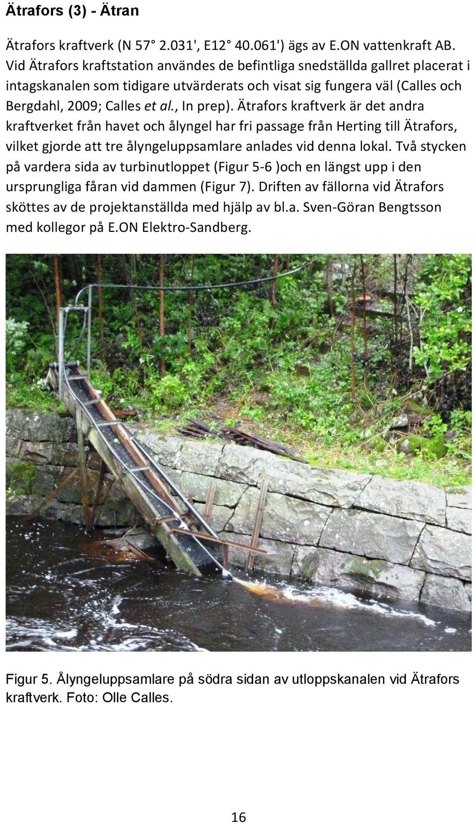 Ätrafors kraftverk är det andra kraftverket från havet och ålyngel har fri passage från Herting till Ätrafors, vilket gjorde att tre ålyngeluppsamlare anlades vid denna lokal.