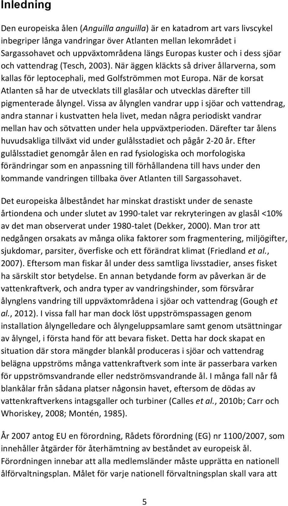 När de korsat Atlanten så har de utvecklats till glasålar och utvecklas därefter till pigmenterade ålyngel.