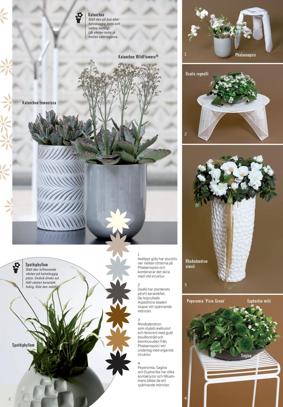 Göd den måttligt. 1 Avklippt gräs har stuckits ner mellan rötterna på Phalaenopsis och kombinerar det skira med vild struktur. 2 Oxalis har planterats på ett keramikfat.