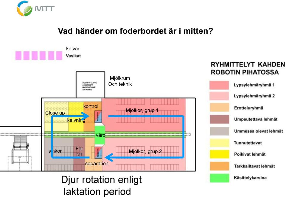 kontrol Mjölkor, grup 1 vård sinkor Far off