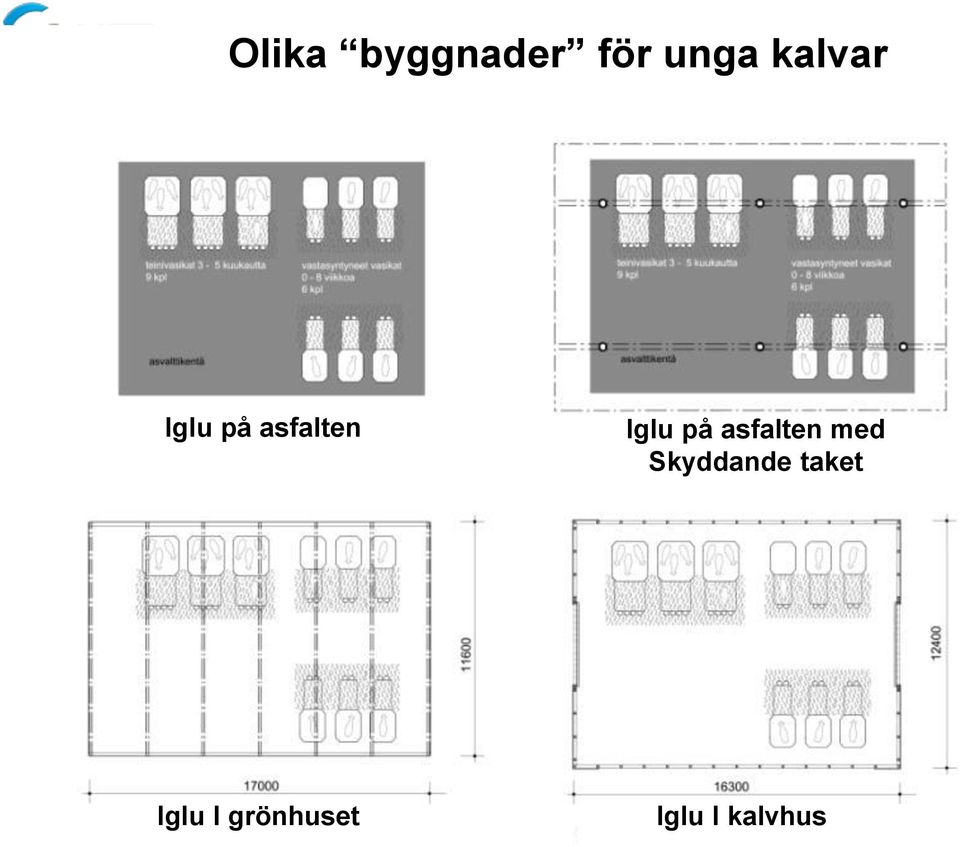 på asfalten med Skyddande