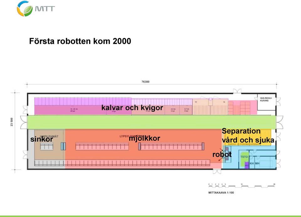 sinkor mjölkkor