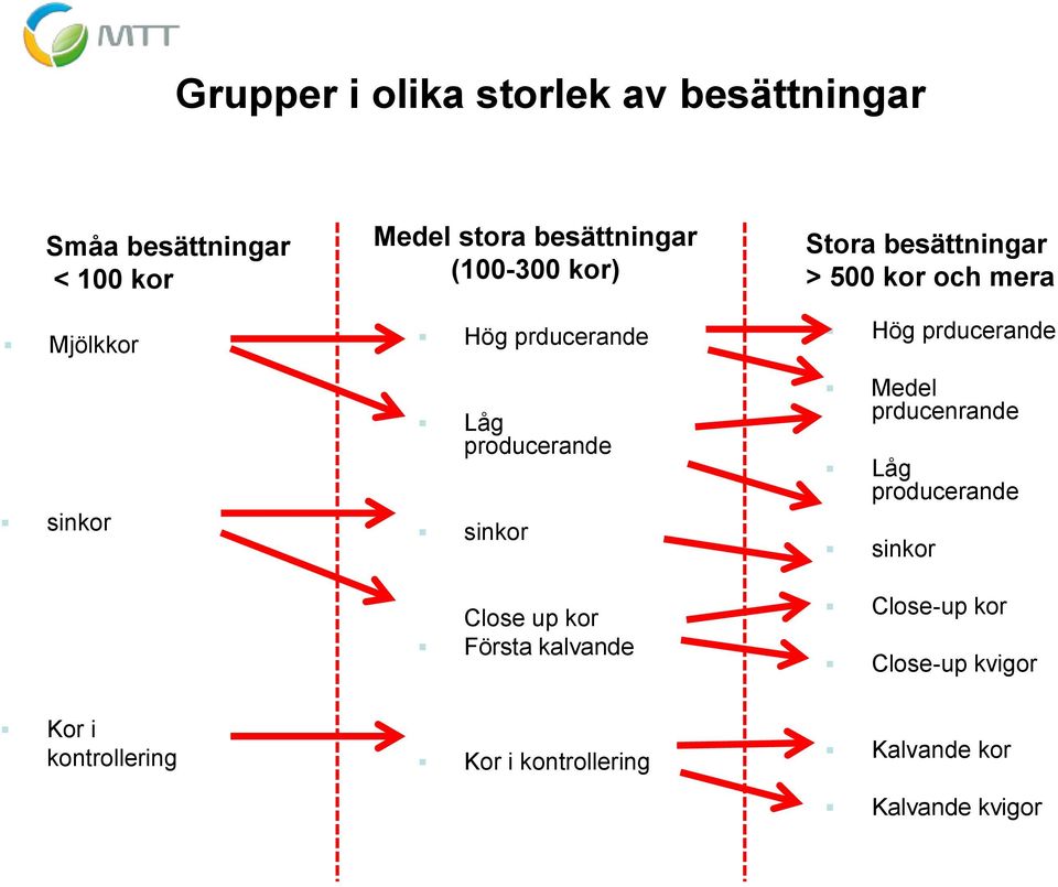 Stora besättningar > 500 kor och mera Hög prducerande Medel prducenrande Låg producerande sinkor