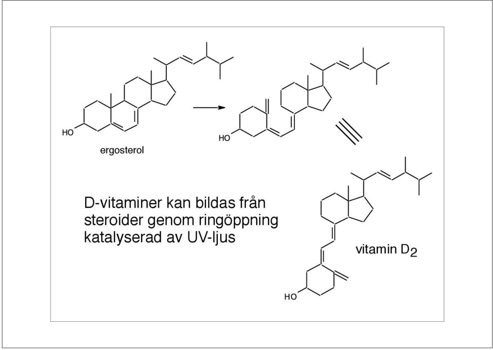 steroider genom