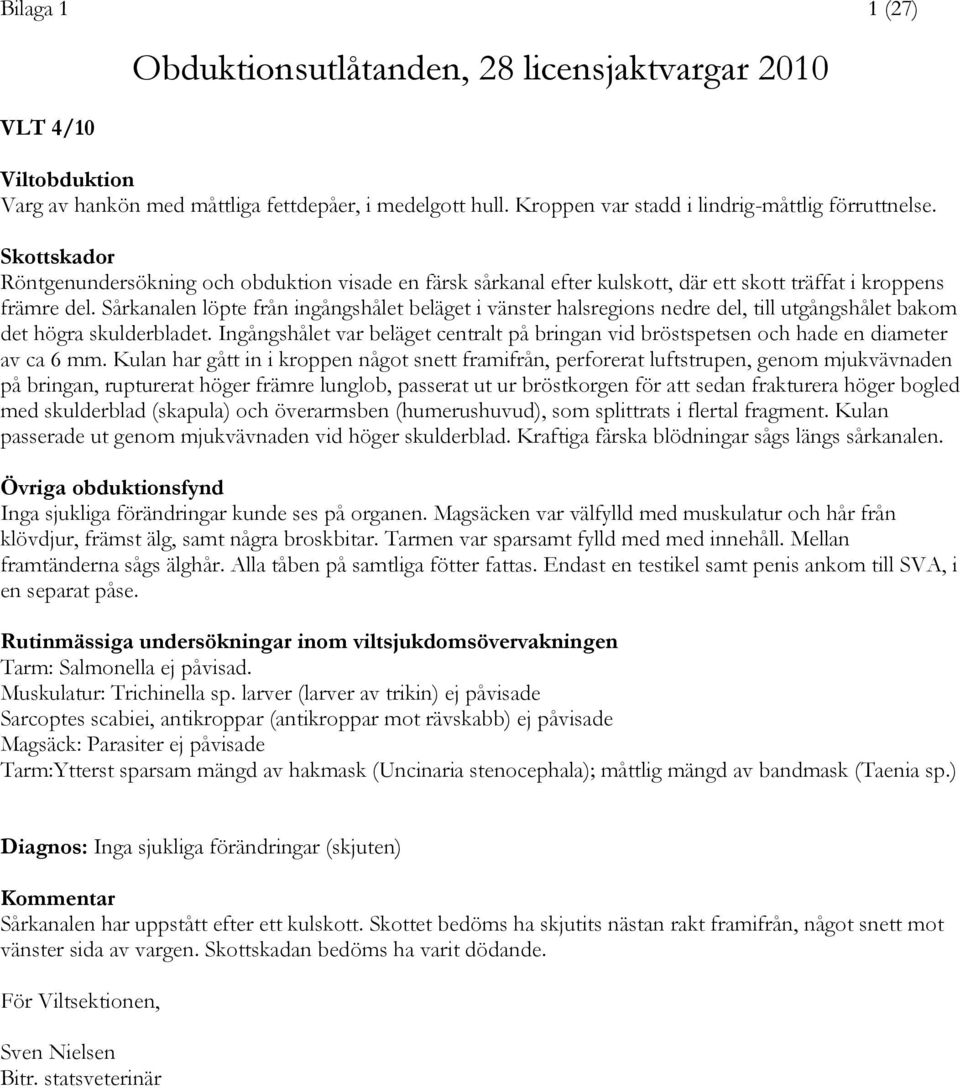 Sårkanalen löpte från ingångshålet beläget i vänster halsregions nedre del, till utgångshålet bakom det högra skulderbladet.