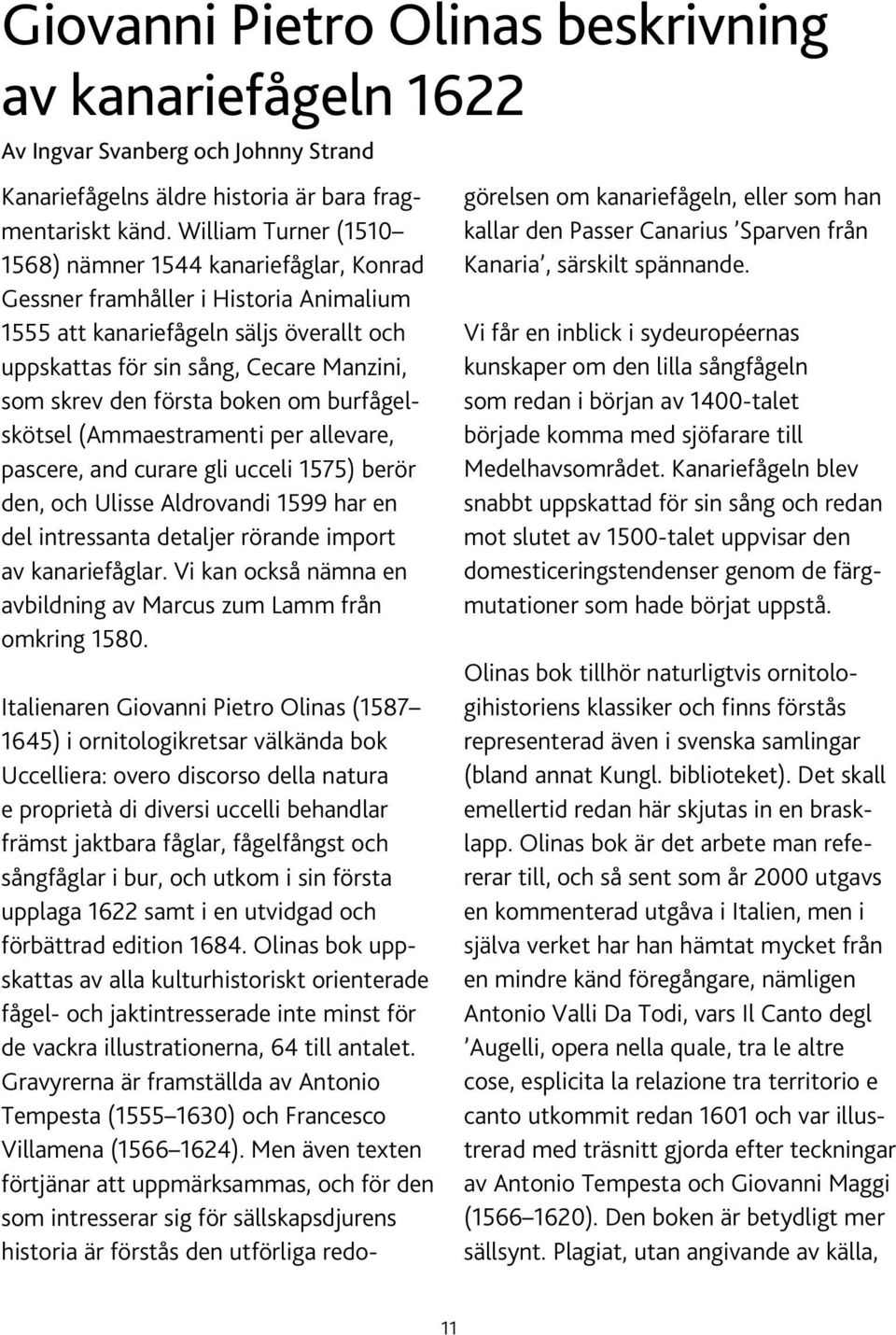 första boken om burfågelskötsel (Ammaestramenti per allevare, pascere, and curare gli ucceli 1575) berör den, och Ulisse Aldrovandi 1599 har en del intressanta detaljer rörande import av