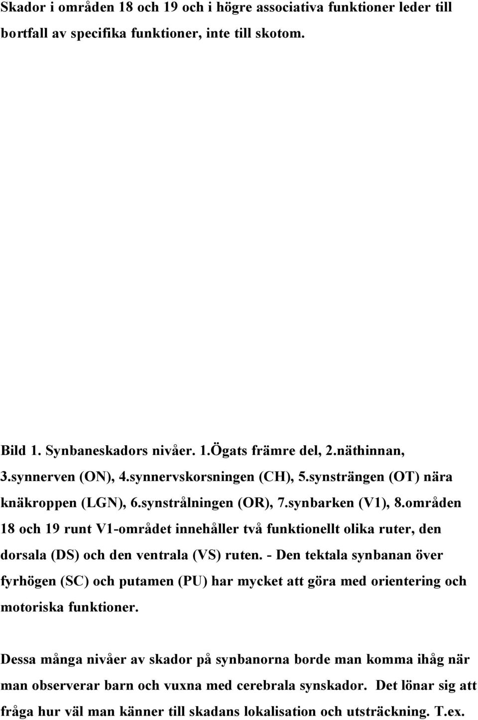 områden 18 och 19 runt V1-området innehåller två funktionellt olika ruter, den dorsala (DS) och den ventrala (VS) ruten.