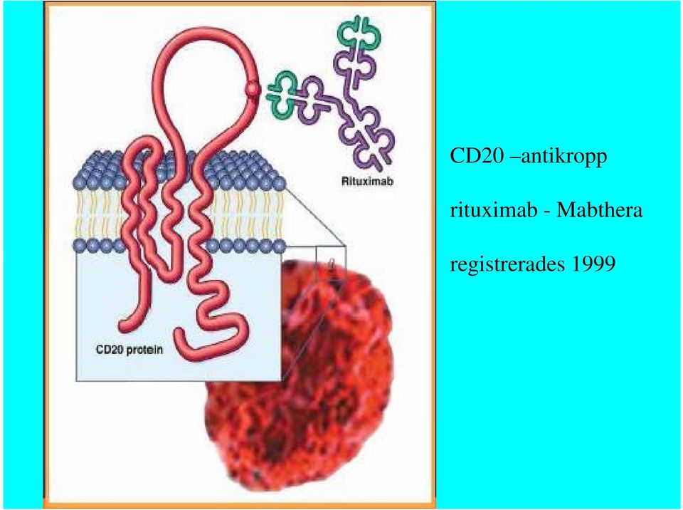 rituximab -