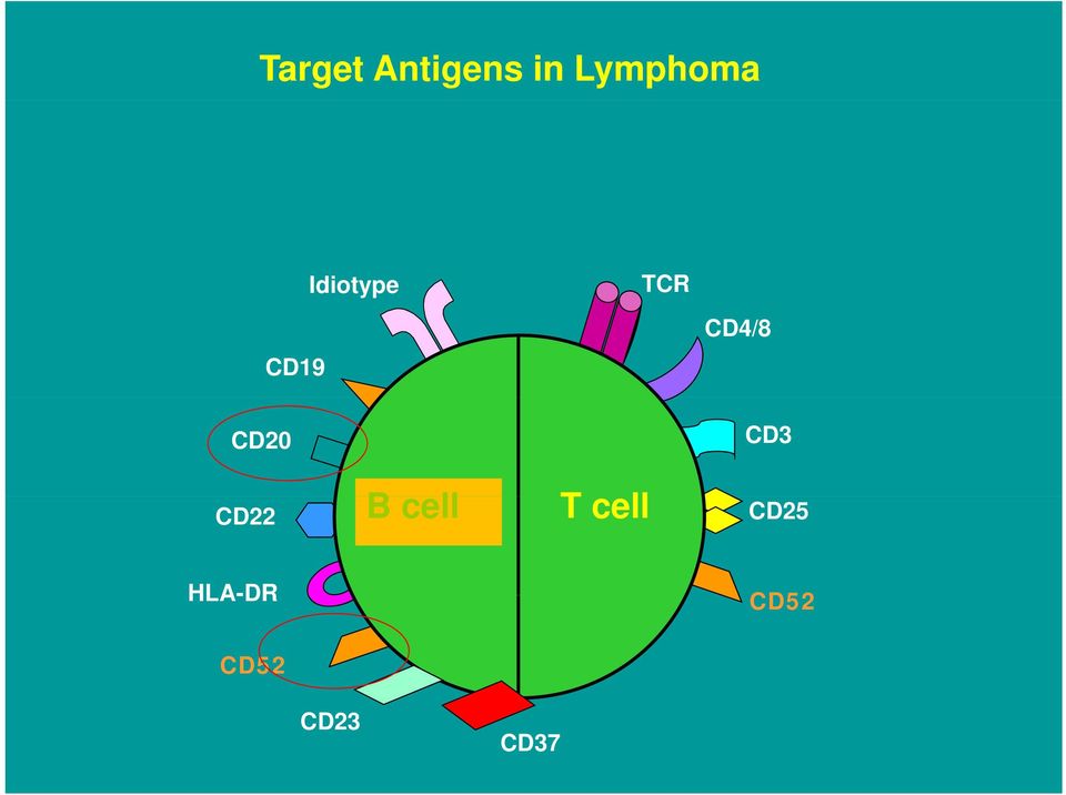 CD20 CD22 B cell T cell CD3