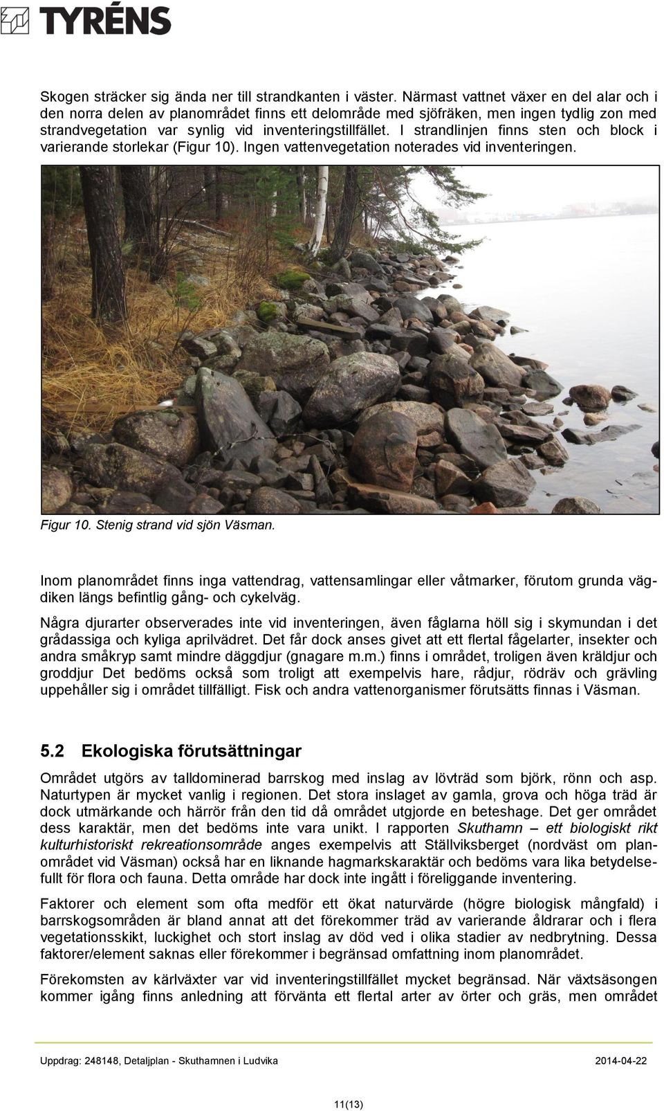 I strandlinjen finns sten och block i varierande storlekar (Figur 10). Ingen vattenvegetation noterades vid inventeringen. Figur 10. Stenig strand vid sjön Väsman.