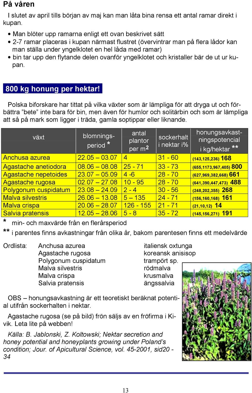 den flytande delen ovanför yngelklotet och kristaller bär de ut ur kupan..800 kg honung per hektar!