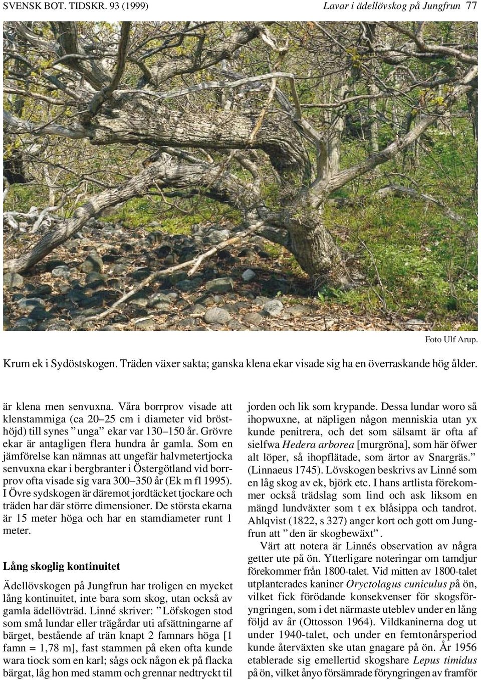 Som en jämförelse kan nämnas att ungefär halvmetertjocka senvuxna ekar i bergbranter i Östergötland vid borrprov ofta visade sig vara 300 350 år (Ek m fl 1995).