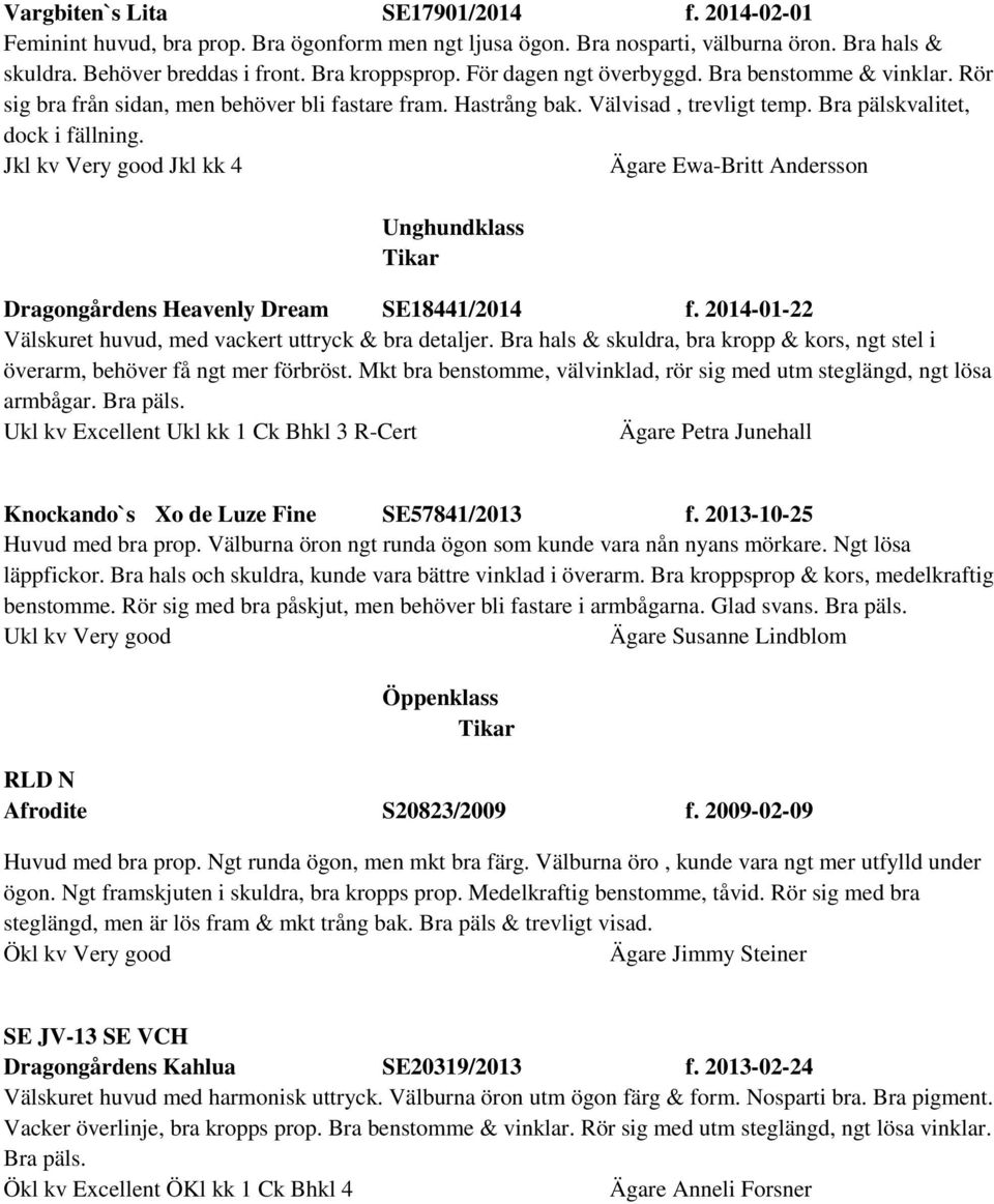 Jkl kv Very good Jkl kk 4 Ägare Ewa-Britt Andersson Unghundklass Dragongårdens Heavenly Dream SE18441/2014 f. 2014-01-22 Välskuret huvud, med vackert uttryck & bra detaljer.