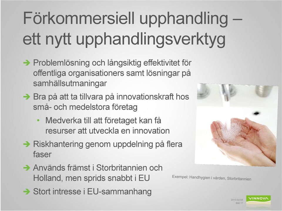 medelstora företag Medverka till att företaget kan få resurser att utveckla en innovation Riskhantering genom