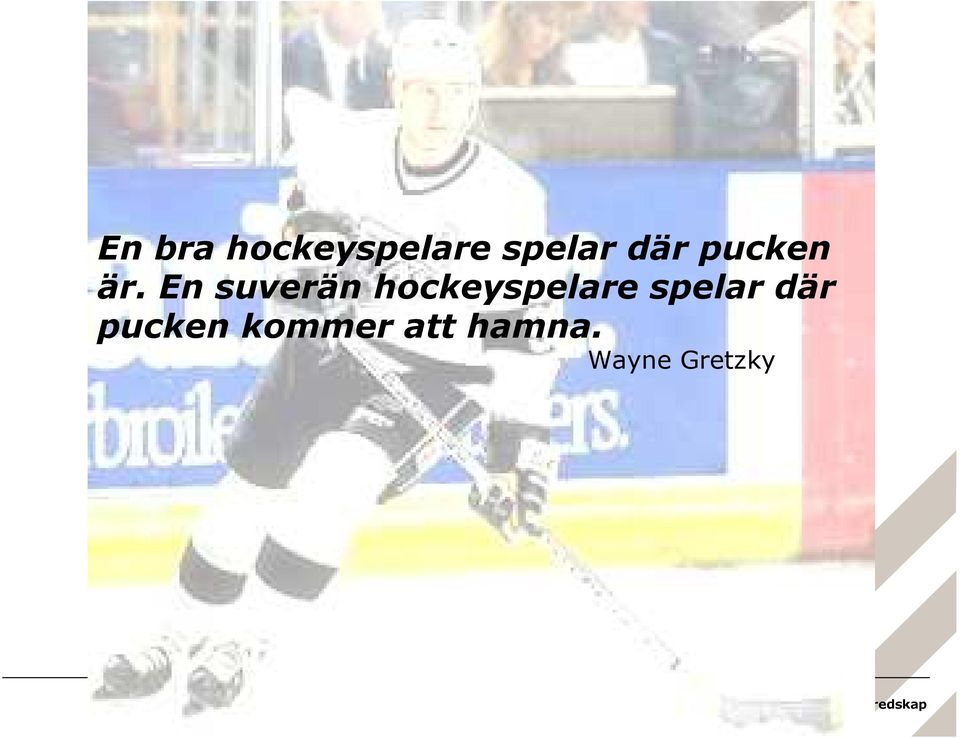 En suverän hockeyspelare