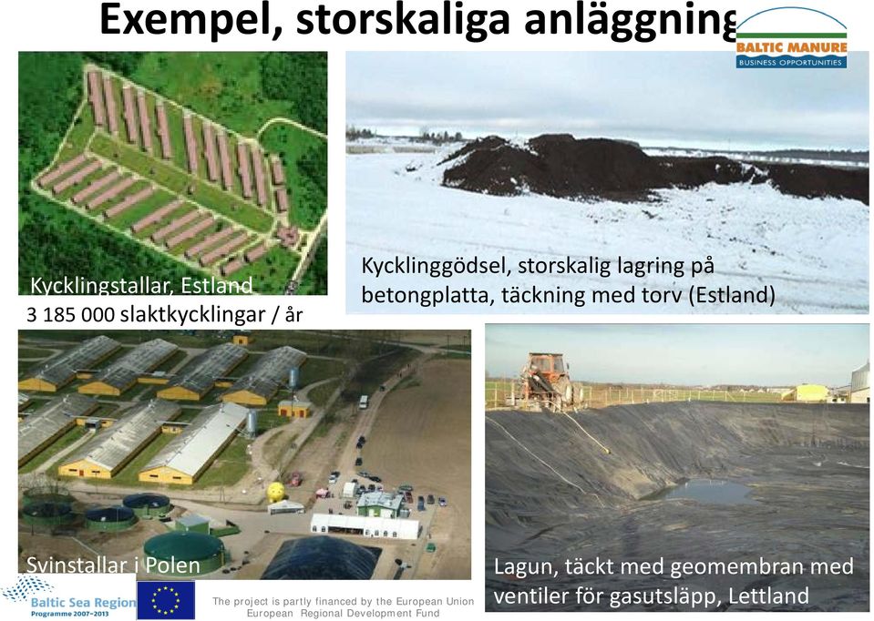 Polen 3680 suggor och 91 The 000 project slaktsvin is partly financed / by år the European