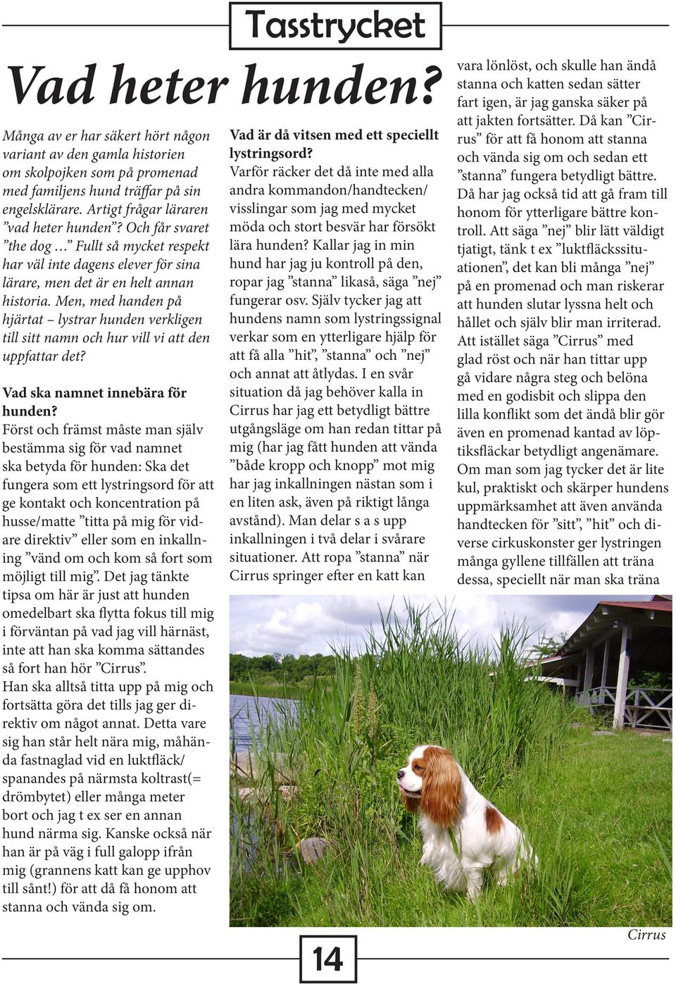 Men, med handen på hjärtat lystrar hunden verkligen till sitt namn och hur vill vi att den uppfattar det? Vad ska namnet innebära för hunden?