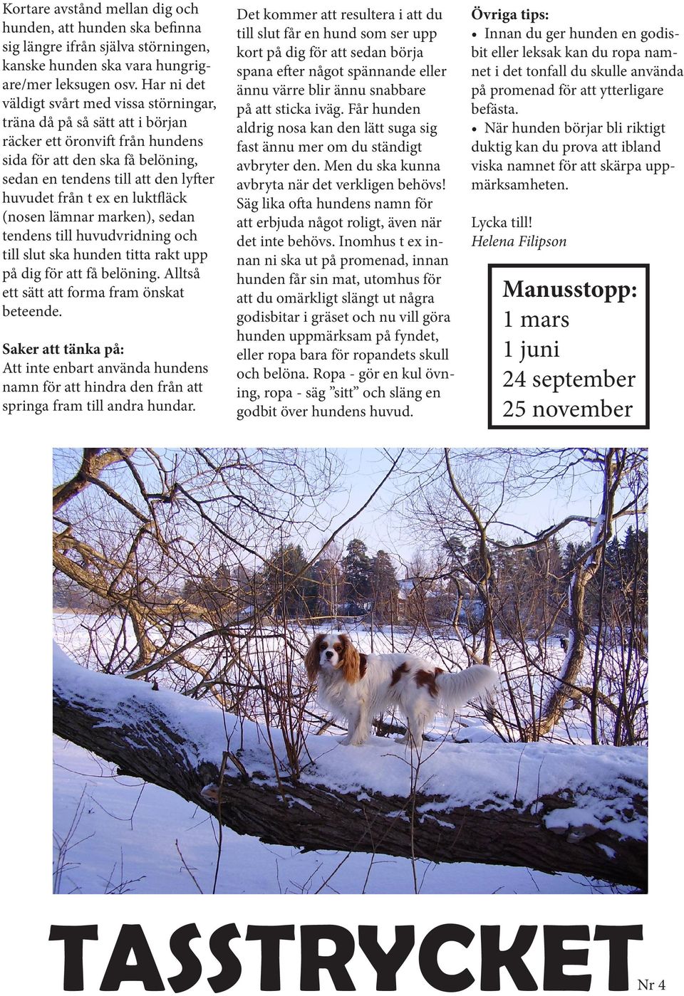 ex en luktfläck (nosen lämnar marken), sedan tendens till huvudvridning och till slut ska hunden titta rakt upp på dig för att få belöning. Alltså ett sätt att forma fram önskat beteende.