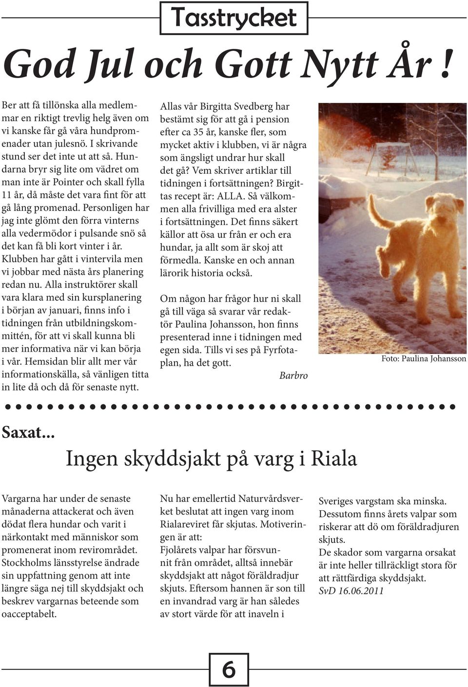 Personligen har jag inte glömt den förra vinterns alla vedermödor i pulsande snö så det kan få bli kort vinter i år. Klubben har gått i vintervila men vi jobbar med nästa års planering redan nu.