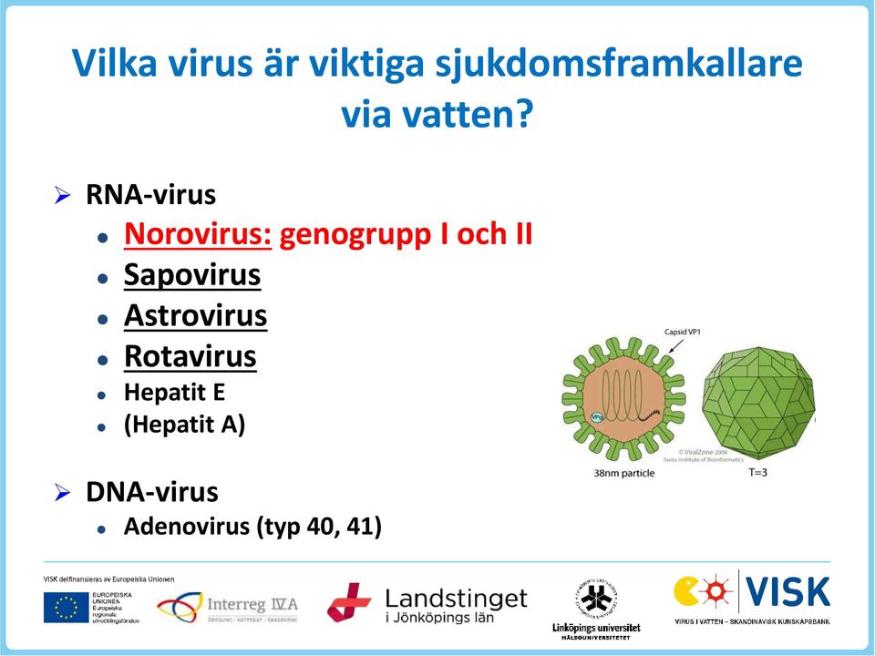 Norovirus: genogrupp I och II Sapovirus