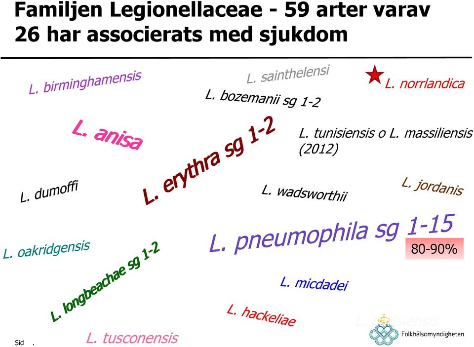 norrlandica L. tunisiensis o L.