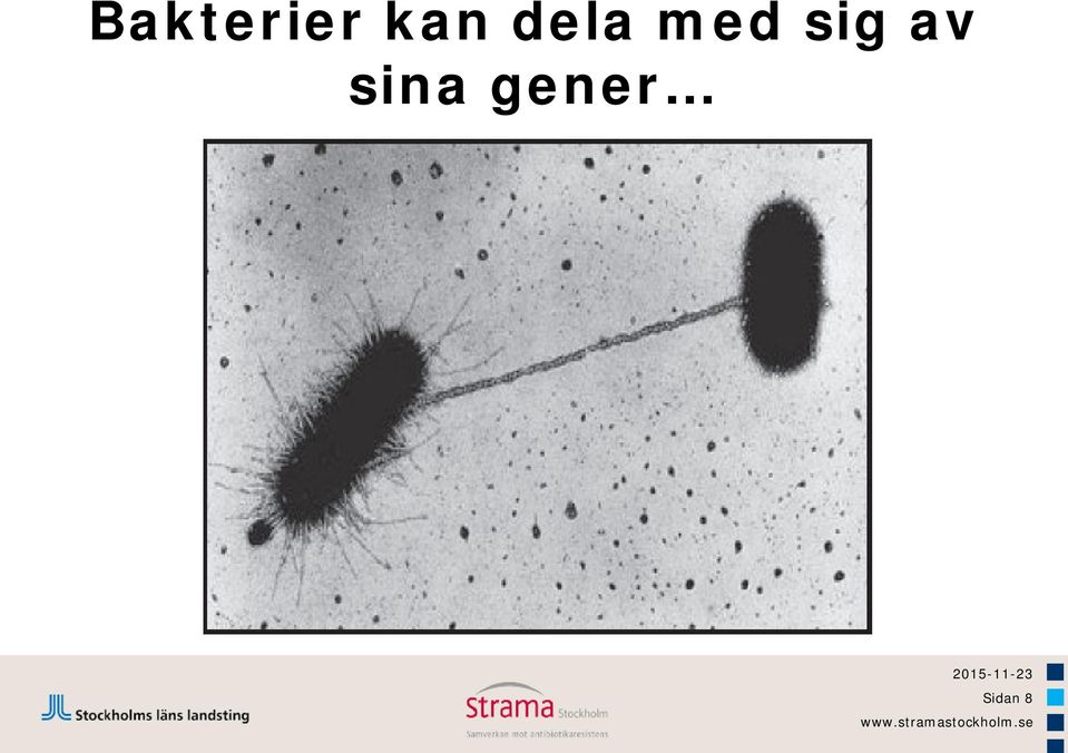 med sig av