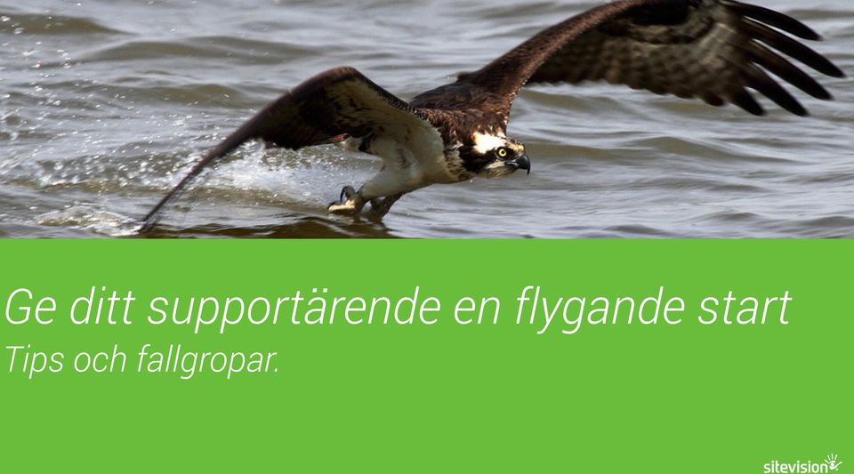 en flygande