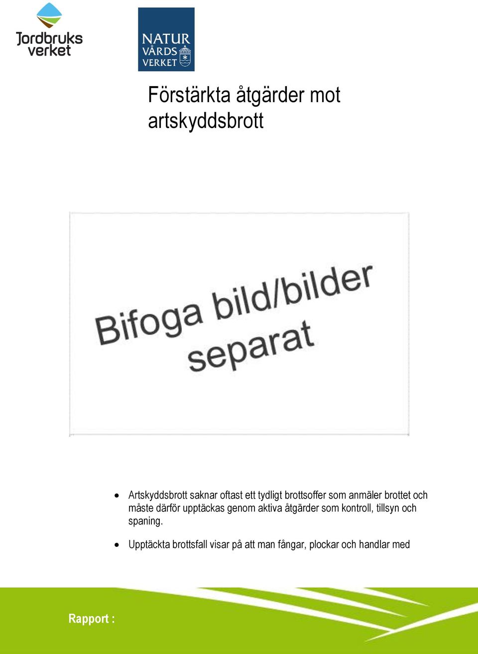 upptäckas genom aktiva åtgärder som kontroll, tillsyn och spaning.