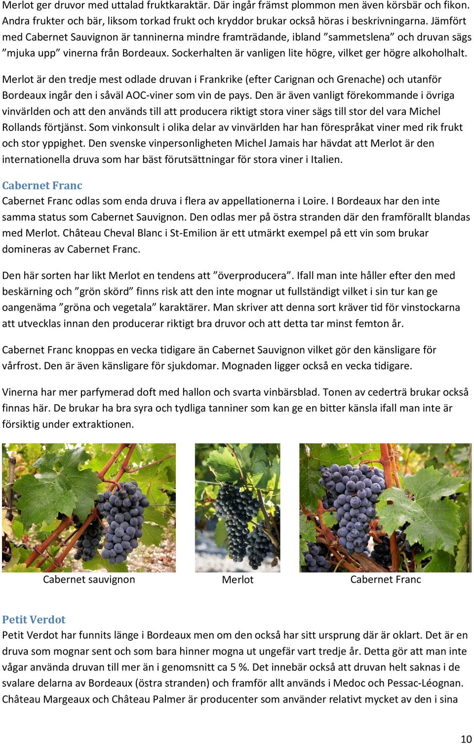 Merlot är den tredje mest odlade druvan i Frankrike (efter Carignan och Grenache) och utanför Bordeaux ingår den i såväl AOC-viner som vin de pays.