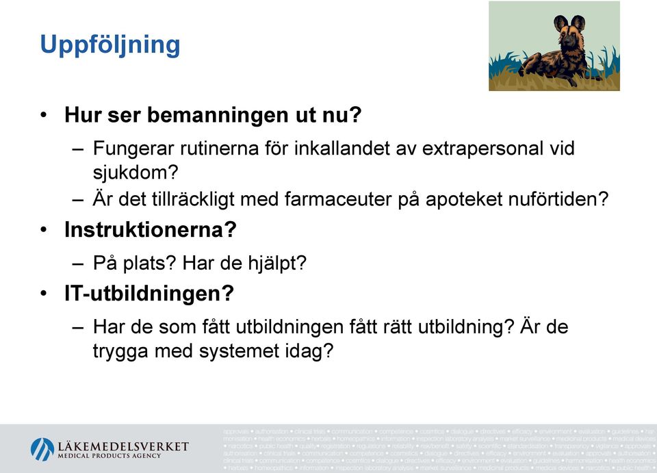 Är det tillräckligt med farmaceuter på apoteket nuförtiden? Instruktionerna?