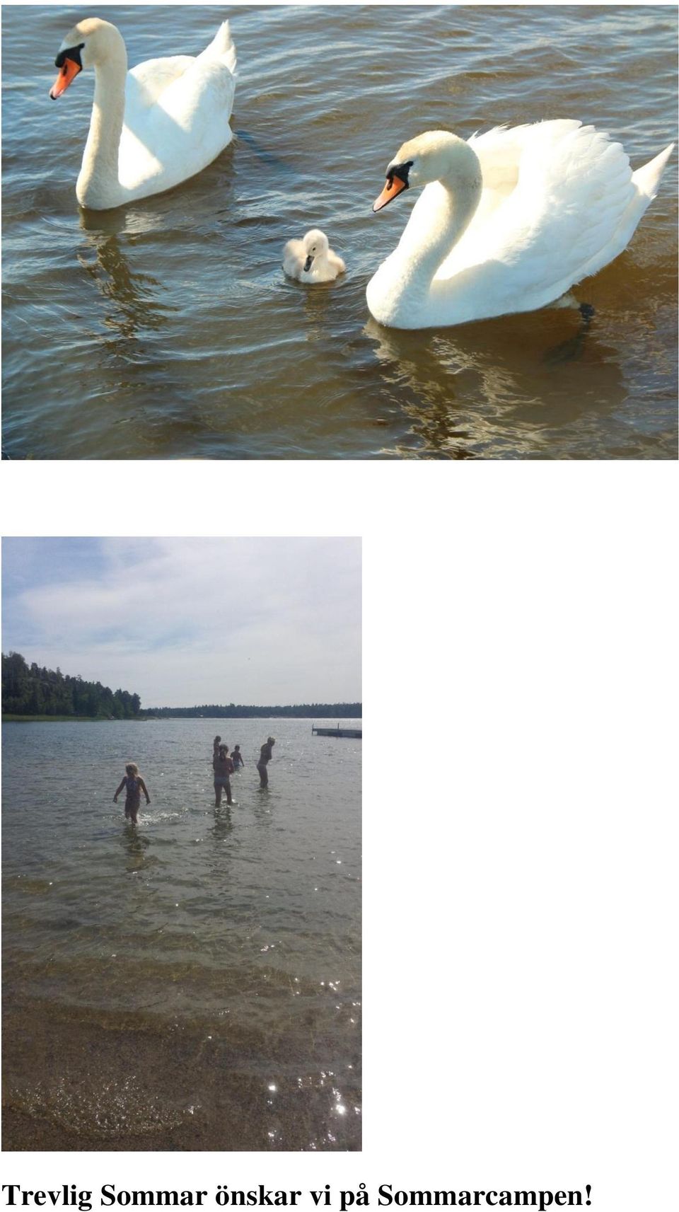 önskar vi