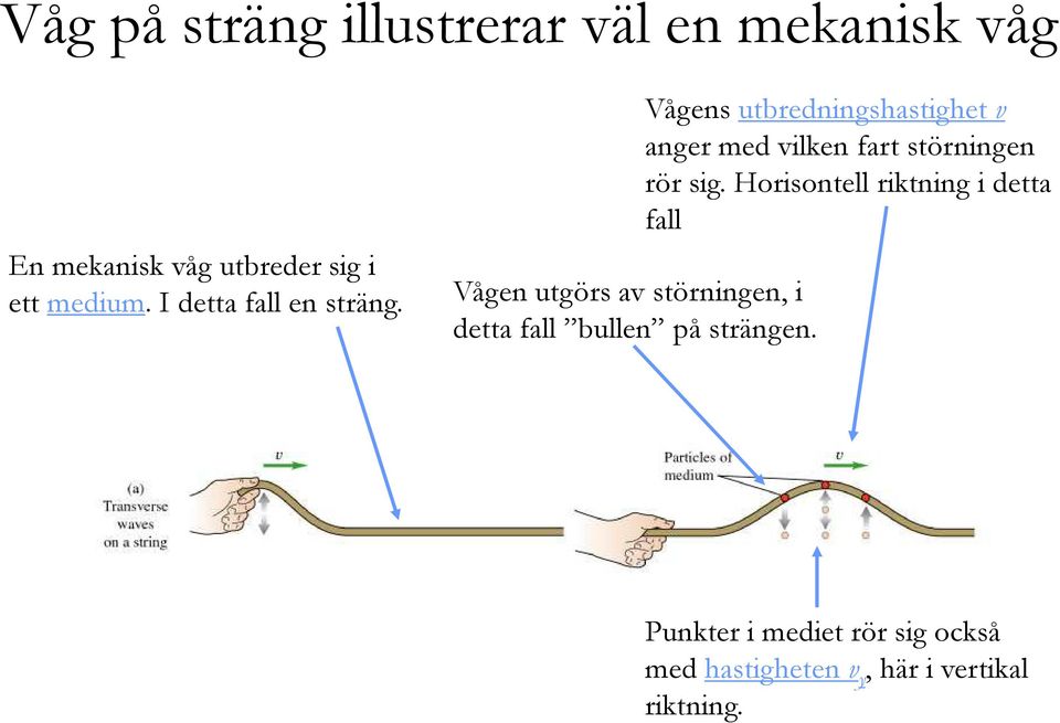 Vågens utbredningshastighet v anger med vilken fart störningen rör sig.