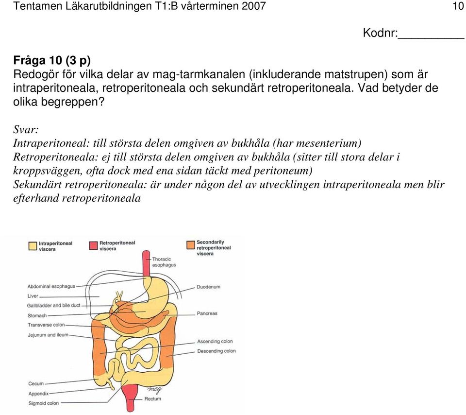 Svar: Intraperitoneal: till största delen omgiven av bukhåla (har mesenterium) Retroperitoneala: ej till största delen omgiven av bukhåla (sitter