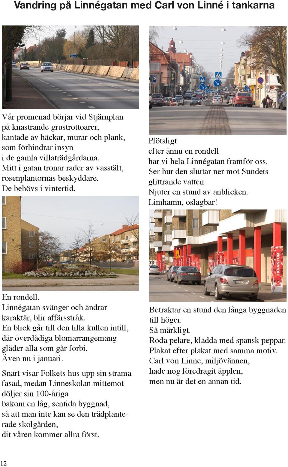 villaträdgårdarna. Mitt i gatan tronar rader av vasstält, rosenplantornas beskyddare. De behövs i vintertid. Plötsligt efter ännu en rondell har vi hela Linnégatan framför oss.