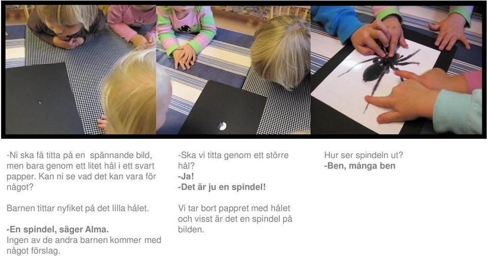 Vi tar bort pappret med hålet och visst är det en spindel på bilden. 13 Hur ser spindeln ut? -Ben, många ben Barnen börjar räkna huller om buller. -Tre ben! -Tusen ben!