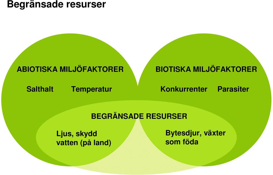 Konkurrenter Parasiter BEGRÄNSADE RESURSER