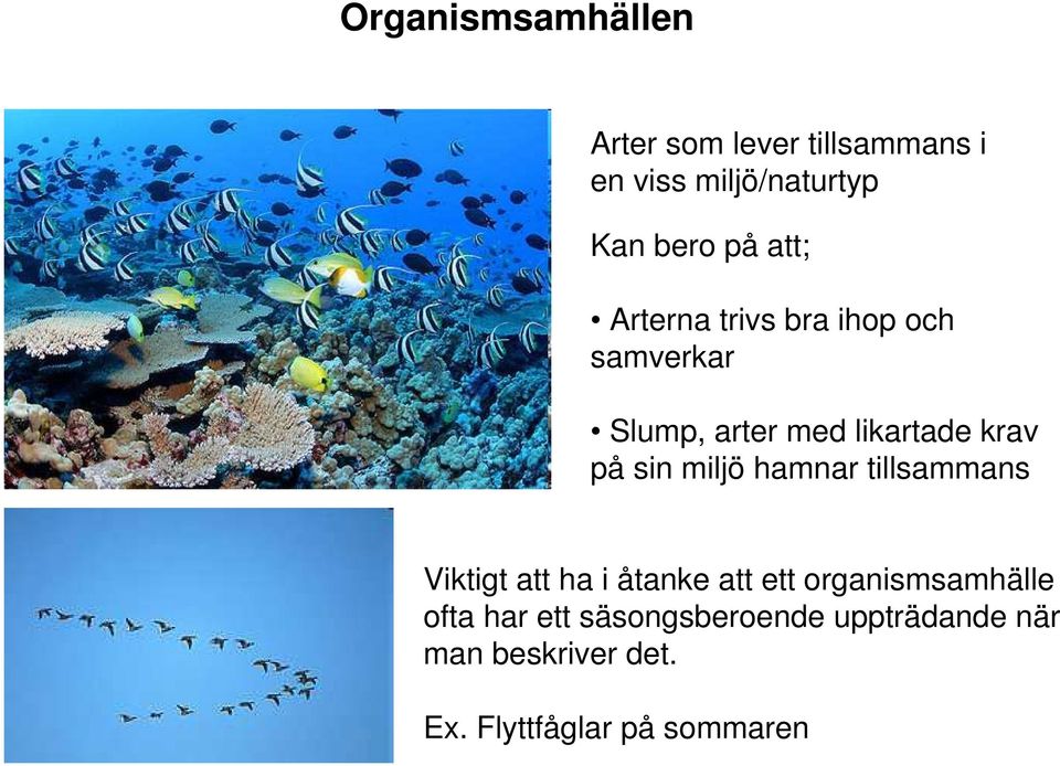 miljö hamnar tillsammans Viktigt att ha i åtanke att ett organismsamhälle ofta har