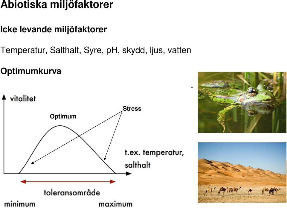 Temperatur, Salthalt, Syre, ph,