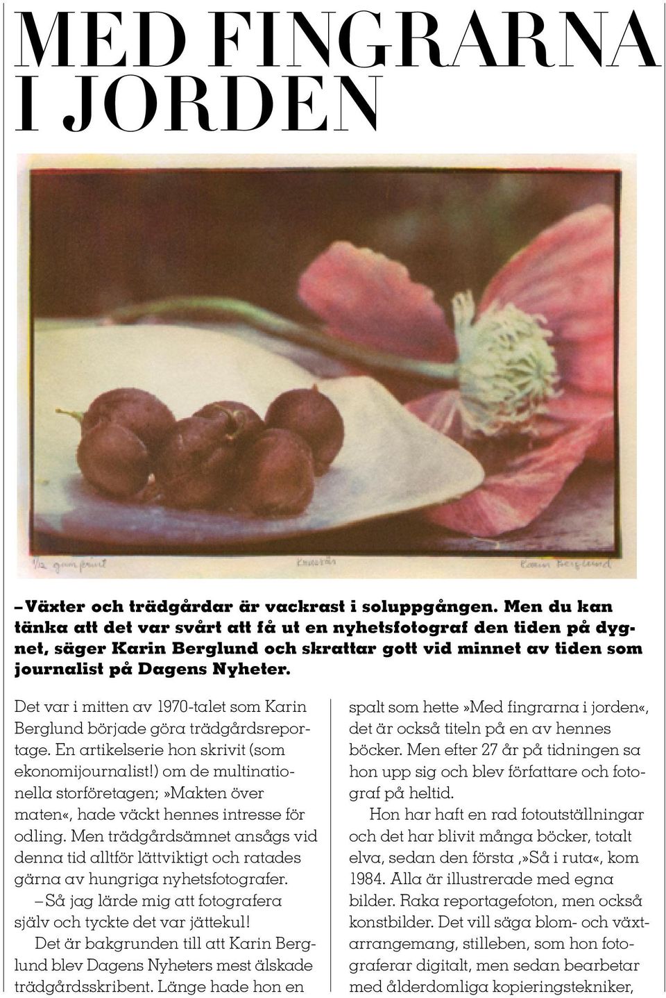 Det var i mitten av 1970-talet som Karin Berglund började göra trädgårdsreportage. En artikelserie hon skrivit (som ekonomijournalist!