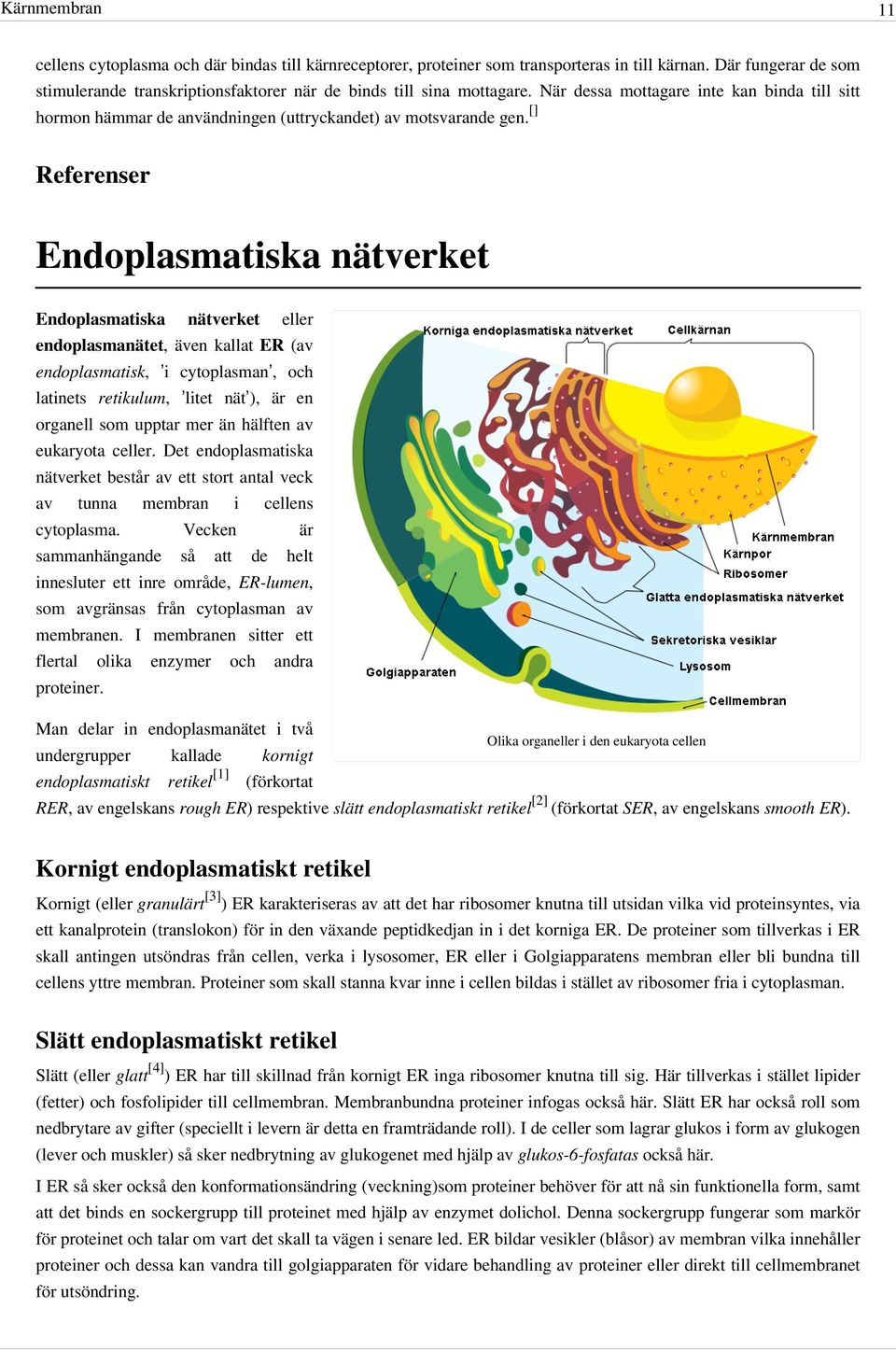 [] Referenser Endoplasmatiska nätverket Endoplasmatiska nätverket eller endoplasmanätet, även kallat ER (av endoplasmatisk, i cytoplasman, och latinets retikulum, litet nät ), är en organell som