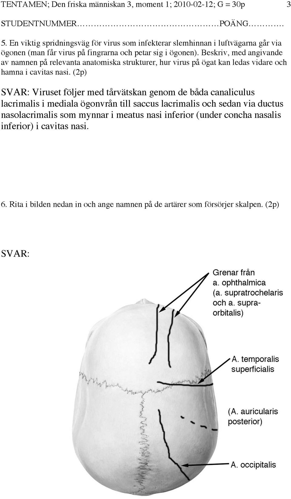 Beskriv, med angivande av namnen på relevanta anatomiska strukturer, hur virus på ögat kan ledas vidare och hamna i cavitas nasi.