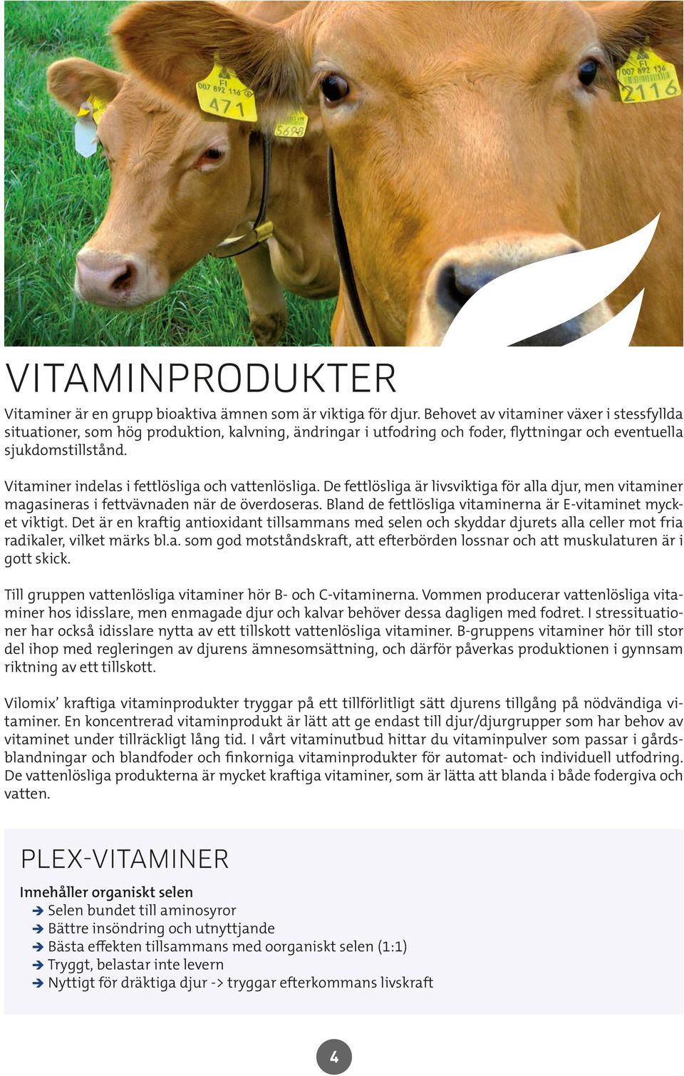 Vitaminer indelas i fettlösliga och vattenlösliga. De fettlösliga är livsviktiga för alla djur, men vitaminer magasineras i fettvävnaden när de överdoseras.