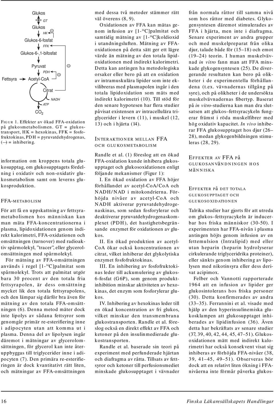 GT = glukostransport, HK = hexokinas, FFK = fosfofruktokinas, PDH = pyruvatdehydrogenas, ( ) = inhibering.