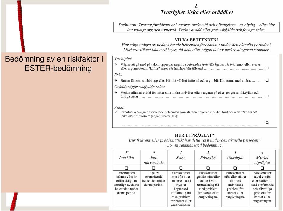 riskfaktor