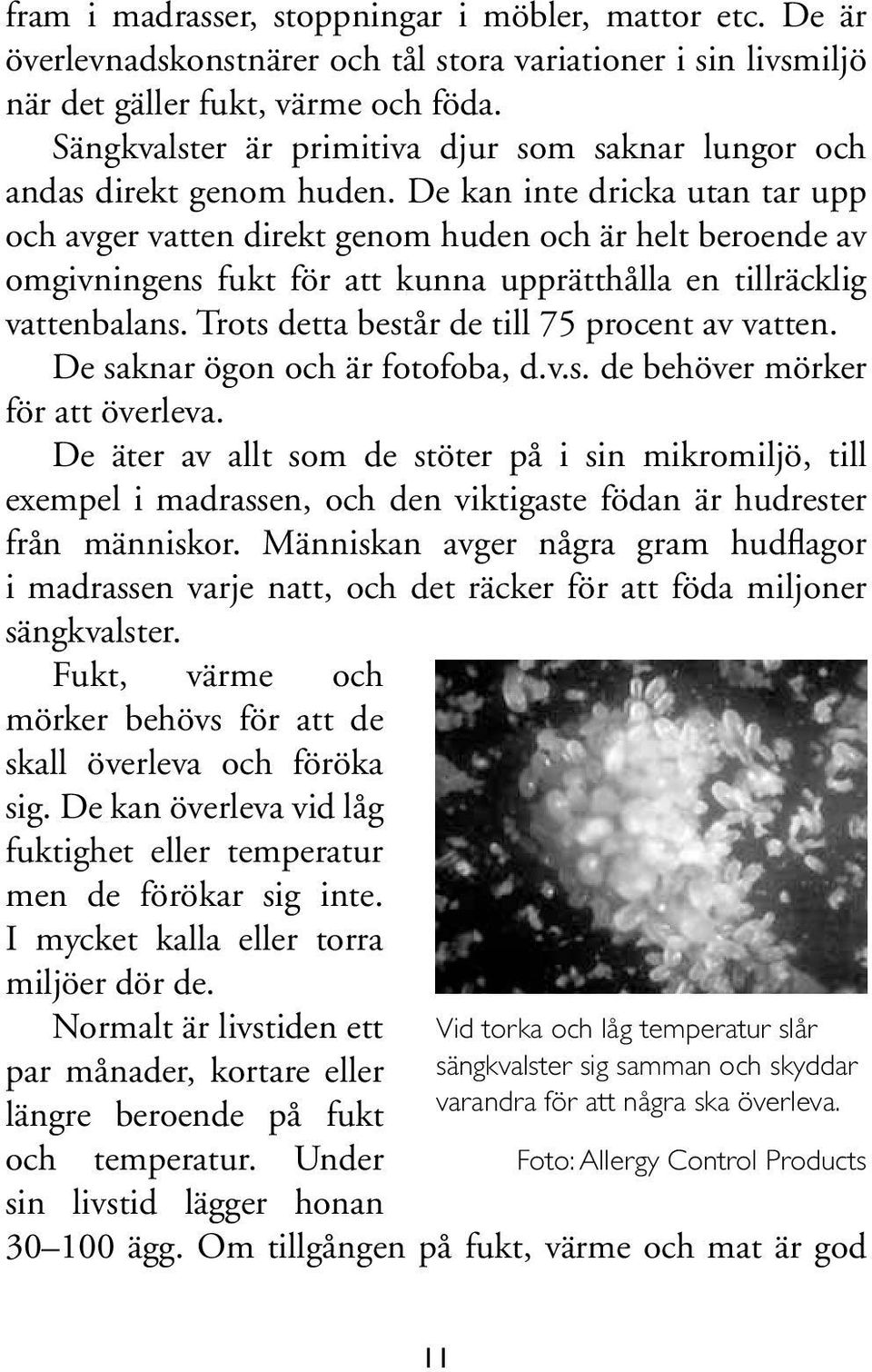 De kan inte dricka utan tar upp och avger vatten direkt genom huden och är helt beroende av omgivningens fukt för att kunna upprätthålla en tillräcklig vattenbalans.