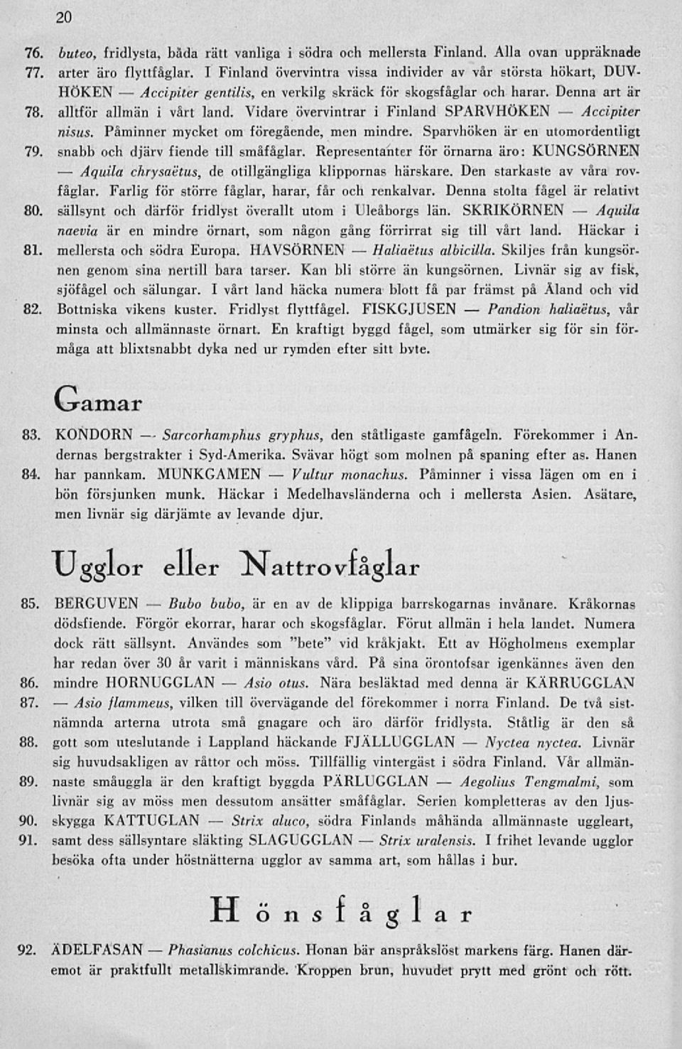 alltför allmän i vårt land. Vidare övervintrar i Finland SPARVHÖKEN Accipiter nisus. Påminner mycket om föregående, men mindre. Sparvhöken är en utomordentligt 79.