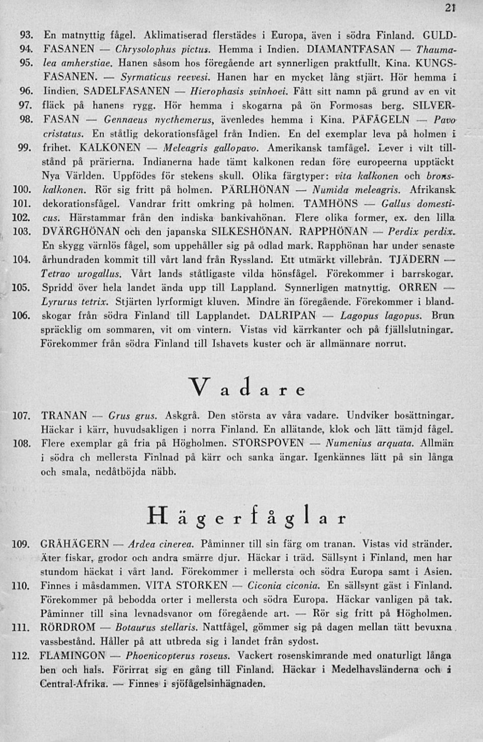 Hanen har en mycket lång stjärt. Hör hemma i 96. lindien. SADELFASANEN svinhoei. Fått sitt namn på grund av en vit 97. fläck på hanens rygg. Hör hemma i skogarna på ön Formosas berg. SILVER- -98.