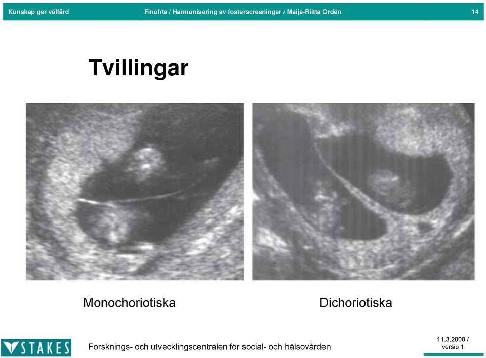 fosterscreeningar / Maija-Riitta