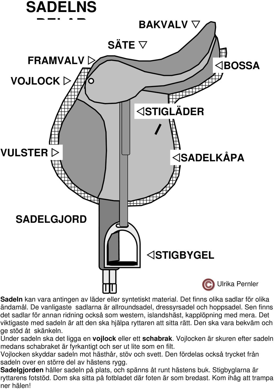 Sen finns det sadlar för annan ridning också som western, islandshäst, kapplöpning med mera. Det viktigaste med sadeln är att den ska hjälpa ryttaren att sitta rätt.