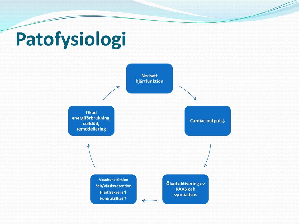 output Vasokonstriktion Salt/vätskeretention